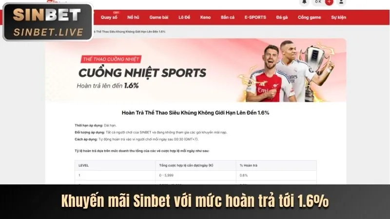 Hình ảnh tổng hợp nhiều môn thể thao khác nhau